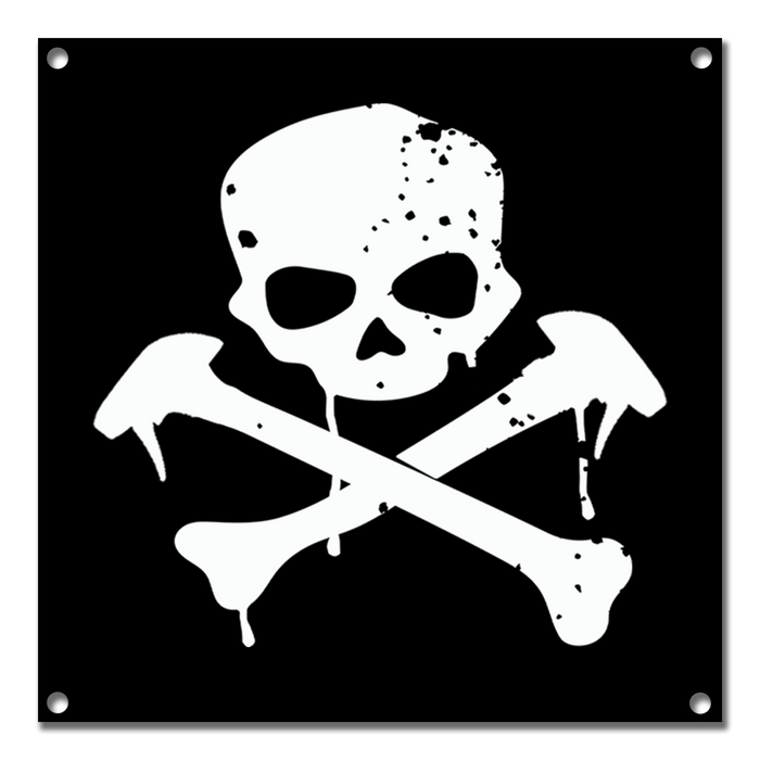 Skull & Bones Banner